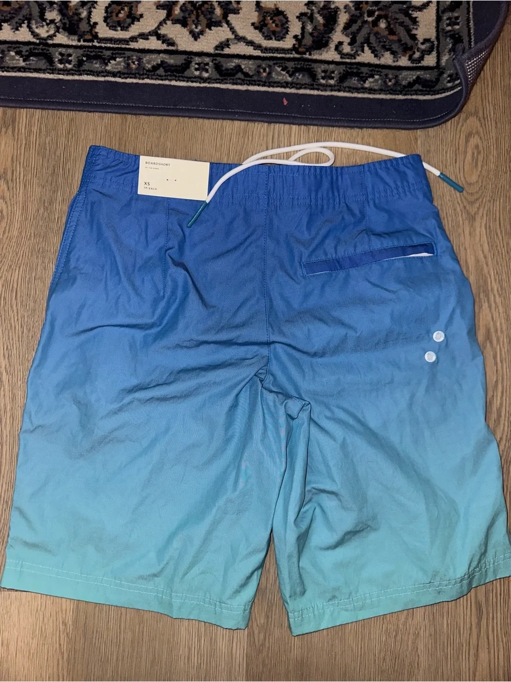 American Eagle Outfitters Blue Gradient Swim Trunks with White Drawstring
